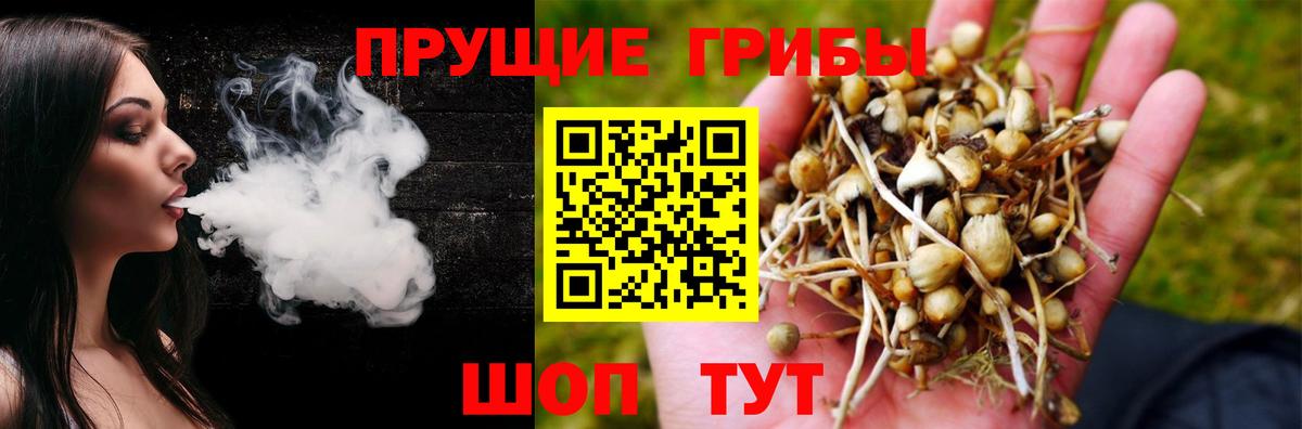 Галлюциногенные грибы Magic Shrooms Уварово